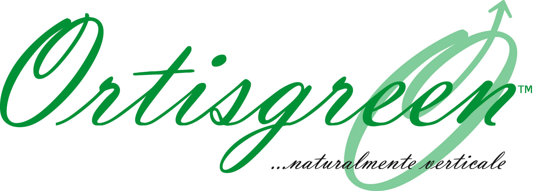logo-ortisgreen-jpegTM
